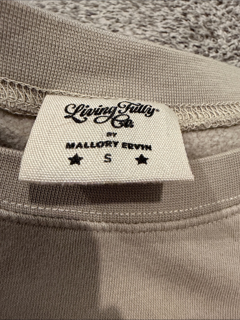 Living Fully Co. Sweatshirt - Picture 2 of 2